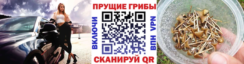 Галлюциногенные грибы GOLDEN TEACHER  Кувандык 