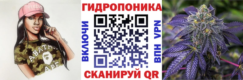 где продают   Кувандык  omg ссылки  Конопля семена 